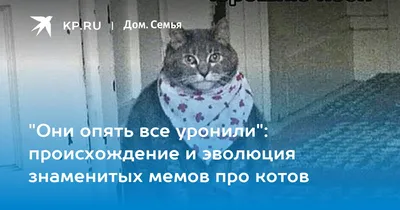 #### Заголовки для страницы с фото Самые Смешные Картинки Кошек С Надписью: