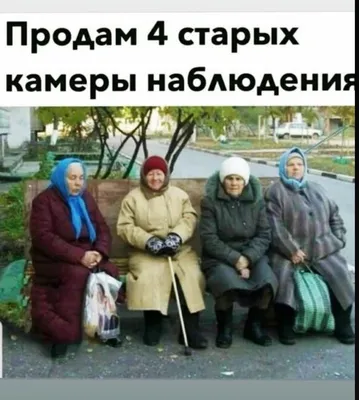 Фото смешные картинки на свете