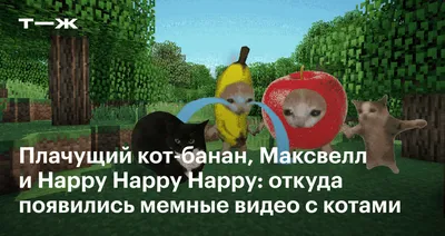 #### 14. Кошка смотрит на птичку в небе