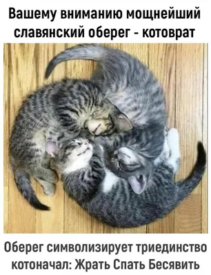 Фото, которые гарантированно вызовут у вас смех!