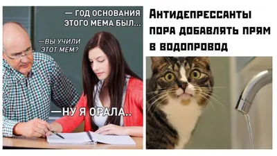 Улыбнитесь с этими фото с надписями, которые вызовут у вас громкий смех!