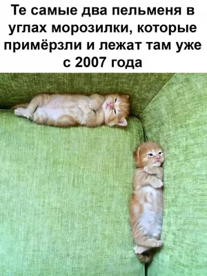 Самые забавные фото, которые вызовут у вас смех!