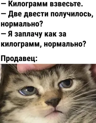 Картинки с юмором для скачивания в JPG