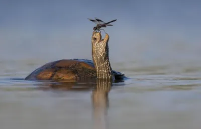 Профессии, которые смешат на фотографии