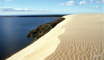 Уникальные и смешные моменты на пляже в фото