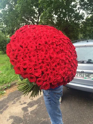 Большой выбор роз на странице