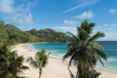 Фото пляжа Самый красивый пляж в мире в формате HD