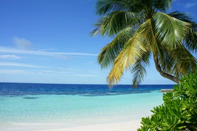 Уникальные картинки пляжа Самый красивый пляж в мире в формате PNG