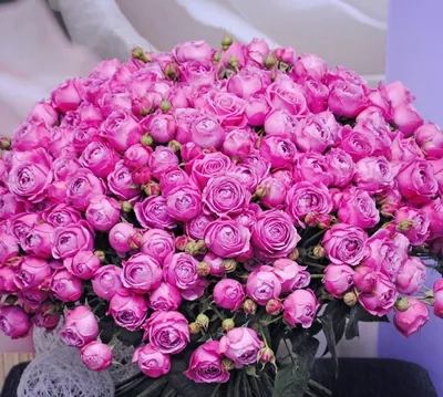 Впечатляющие фото самого огромного букета роз