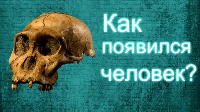 Запечатленные века: скачай изображение самого старого человека в высоком качестве