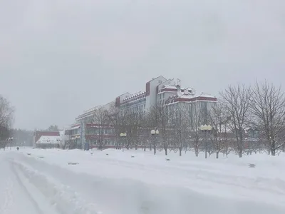 Фотографии природы: Санаторий белое озеро