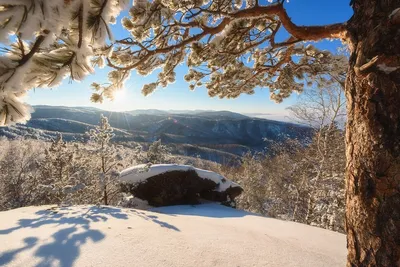 Зимние пейзажи Белокурихи: фотообзор