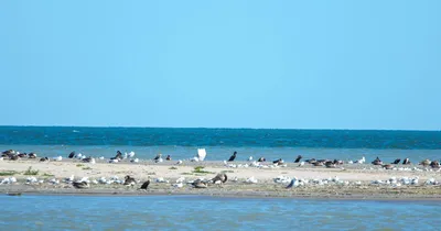 Курортный отдых в стиле – фото Санатория Черное море, Одесса