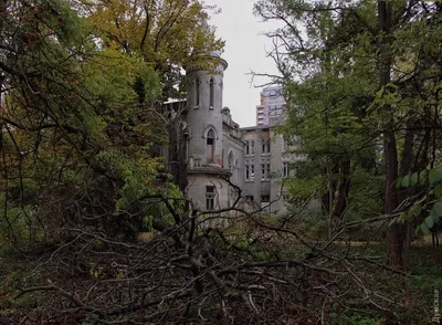 Фотк с бассейном санатория Черное море в Одессе