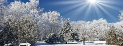 Погружение в красоту гор через фотографии Санатория Кленовая гора в Марий Эл