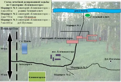 Неповторимые фото Санатория кленовая гора - выберите свой формат (JPG, PNG, WebP)