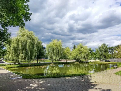 Фото красивого санатория в Белгородской области (Фото)