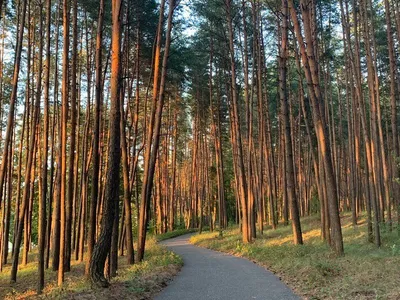 Интересная фотография красивого санатория в Белгородской области (Изображение)