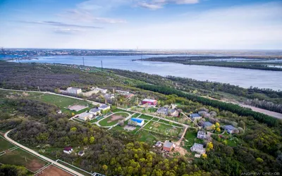 Шикарное фото птиц на территории санатория Синяя Птица в Балаково