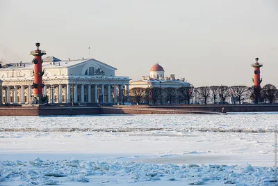 Зимний хаос красок: Фото Санкт-Петербурга разного размера