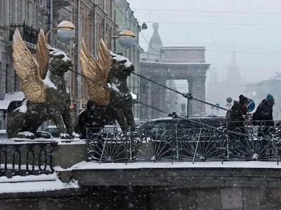 Ледяной портрет: Фотоальбом зимнего Санкт-Петербурга