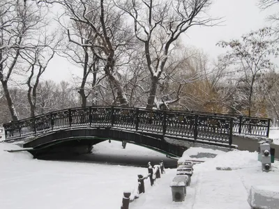 Зимние впечатления города: Скачайте изображения в формате WebP