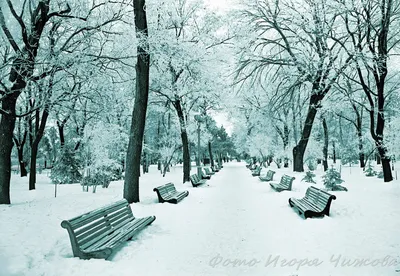 Зимняя красота Саратова: Изображения в WebP формате для вашего выбора