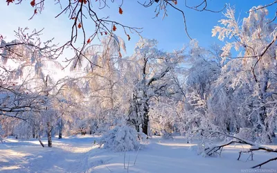 Зимний чарующий Саратов: Фото и картинки для скачивания в формате JPG