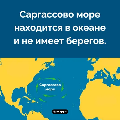 Саргассовое море: небывалые виды на фото