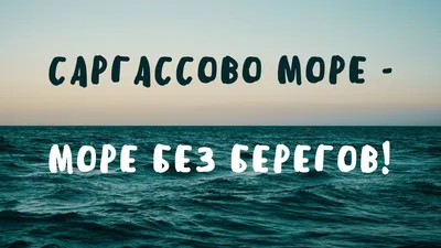 Фотография Саргассового моря в хорошем качестве