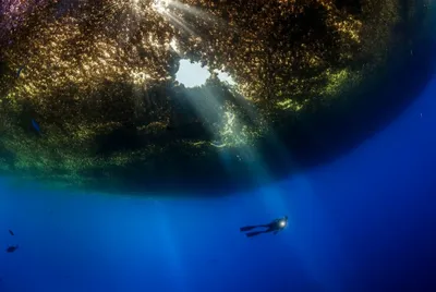 Лучшие обои на телефон с фотографиями Саргассового моря