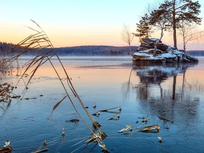 Бескрайние просторы Сарыкамышского озера на фотографиях