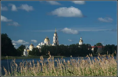 Фотографии пустыни Ниловой на Селигере: природное разнообразие