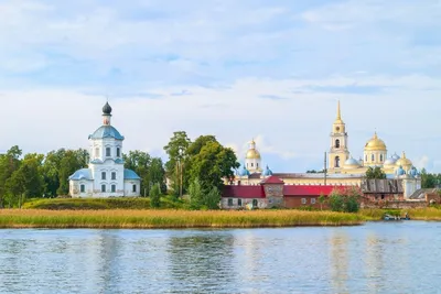 Фотографии пустыни Ниловой на Селигере: дикая красота природы