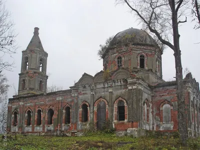 Рождественское настроение в каждом кадре: фото в различных форматах