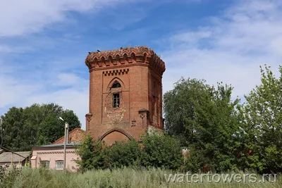 Фотографии Рождественской природы: разные форматы для загрузки