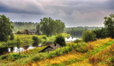 Солнечные поля и золотая лихорадка: Фотографии прекрасной деревенской природы