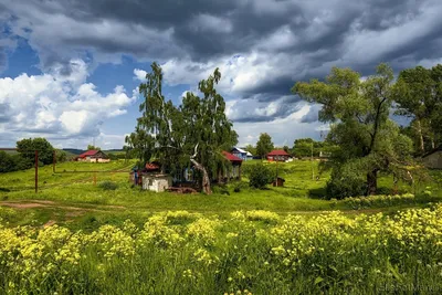 Фотографии Природы для Обоев на Телефон: Российские Сельские Красоты