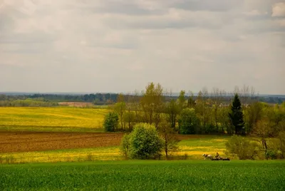 Бесплатные фотографии сельских пейзажей: скачивай в любом формате!