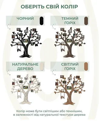 Отражение времени: Фотографии, где дерево становится свидетелем истории