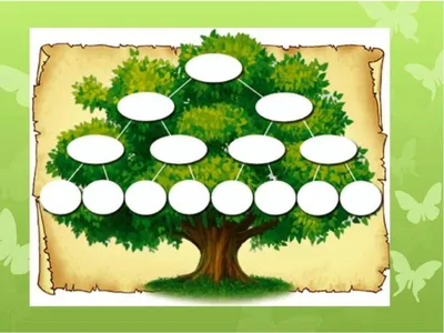 Бесплатные фоны семейного дерева: скачать изображения разных форматов
