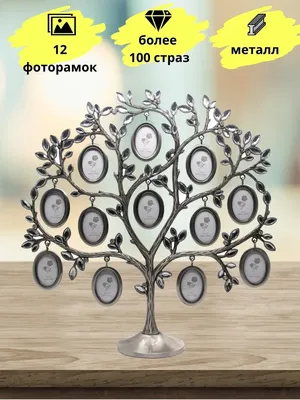 Красивые изображения семейного дерева