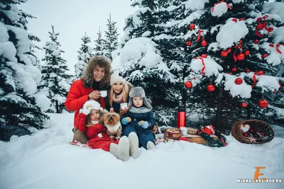 Семейные фотографии под снежным покровом