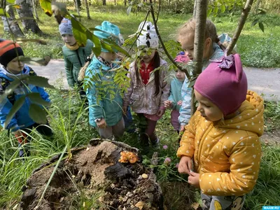 Фото семьи в осеннем лесу - искусство природы в рисунке