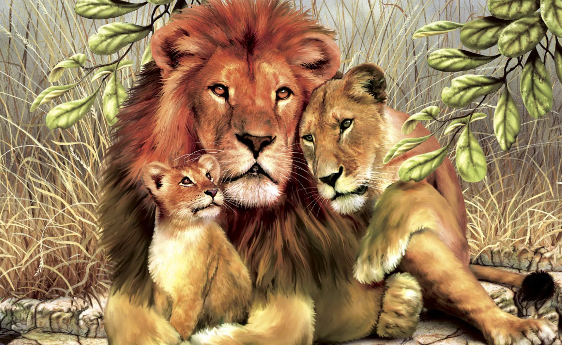 Изображения по запросу Львы семья