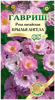 Семена китайской розы на фото: выберите желаемый размер