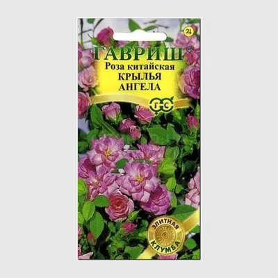 Изображение семян китайской розы в формате jpg