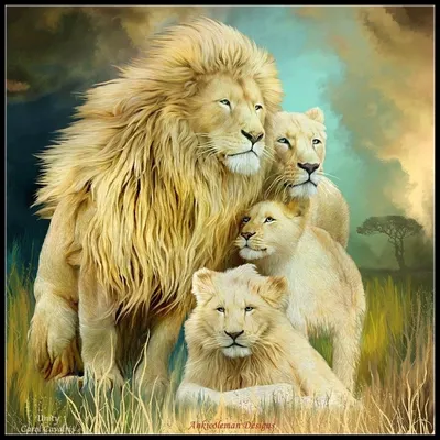 Фото львов в прекрасном качестве: PNG, JPG, WEBP