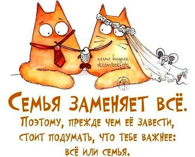 Семейные смешные картинки: выберите формат (JPG, PNG, WebP) для скачивания