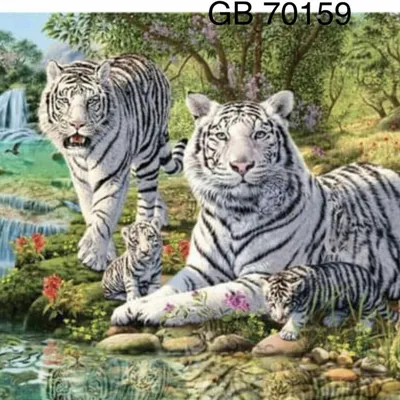 Улыбающиеся тигры на фотографии